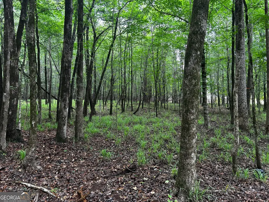 209 Winding River Road, Eatonton, GA 31024 - #2