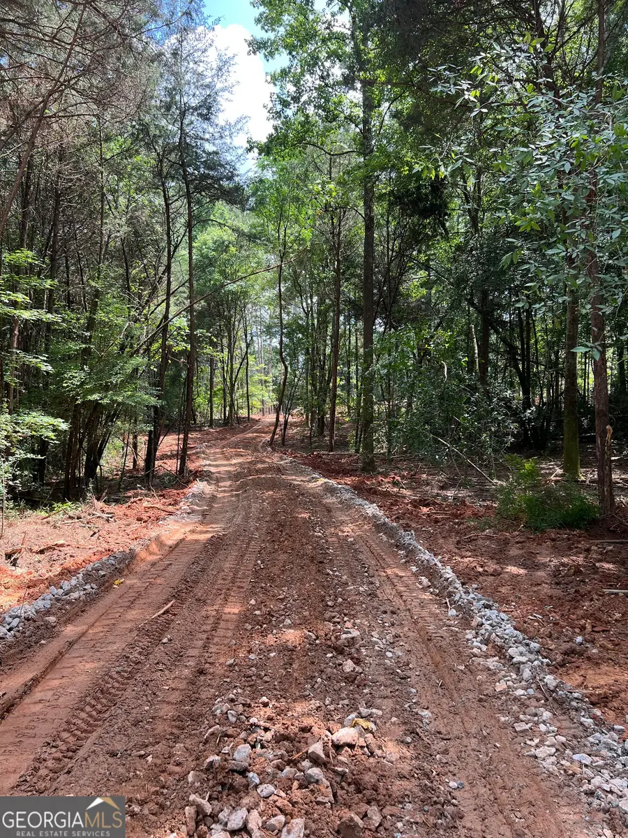 10020 Jefferson River Road, Athens, GA 30607 - #2