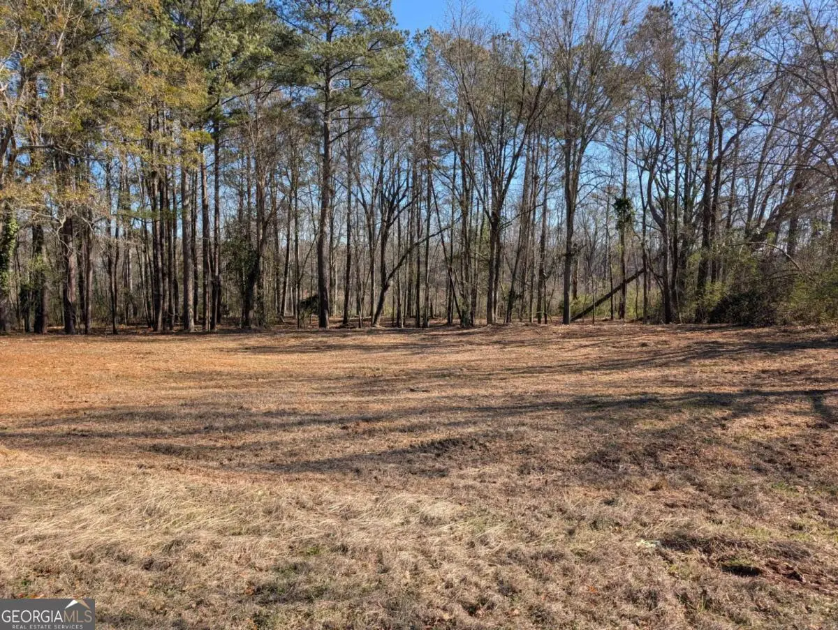 123 Jones Street, Lagrange, GA 30240 - #1