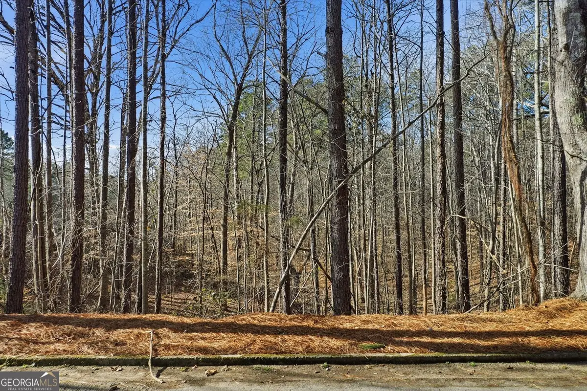 0000 Sixes Road, Canton, GA 30114 - #1