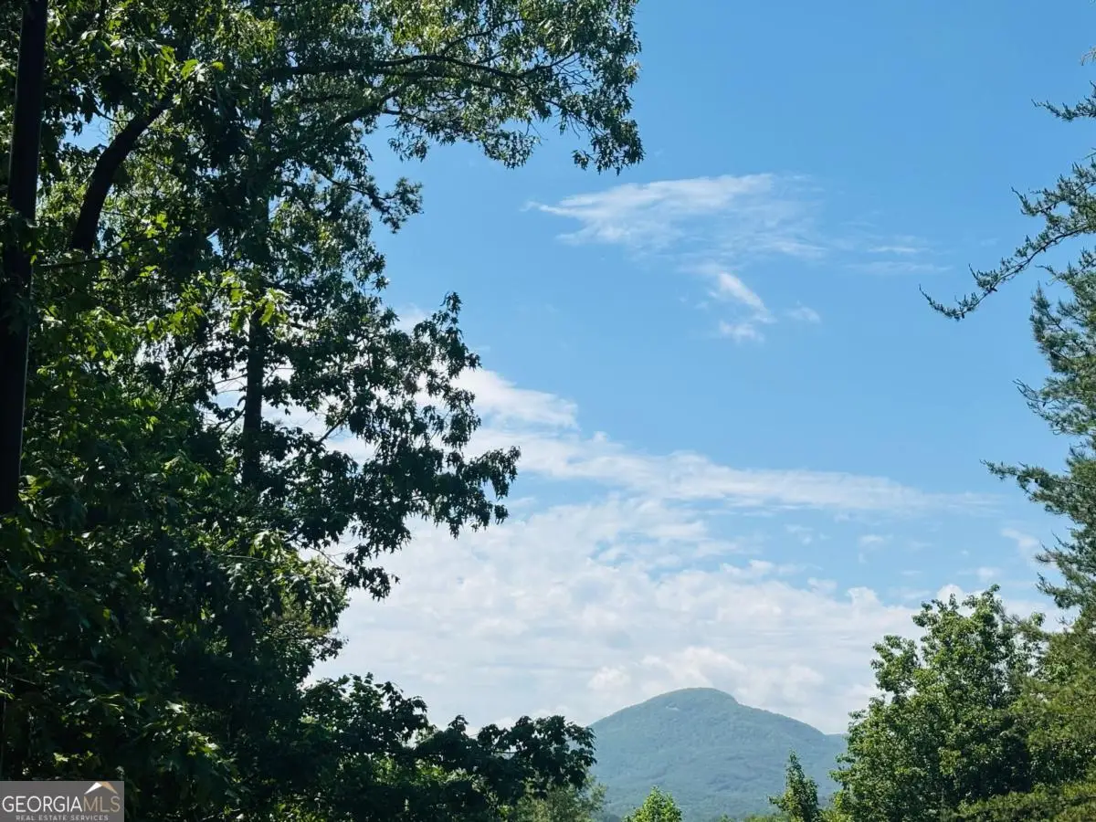 0 Rosen Strasse - Lot 141, Helen, GA 30545 - #1