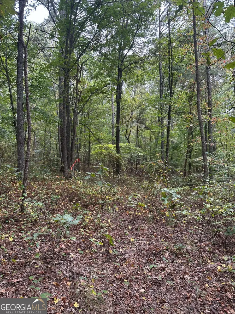 3834 Salacoa-tract B, Waleska, GA 30183 - #2