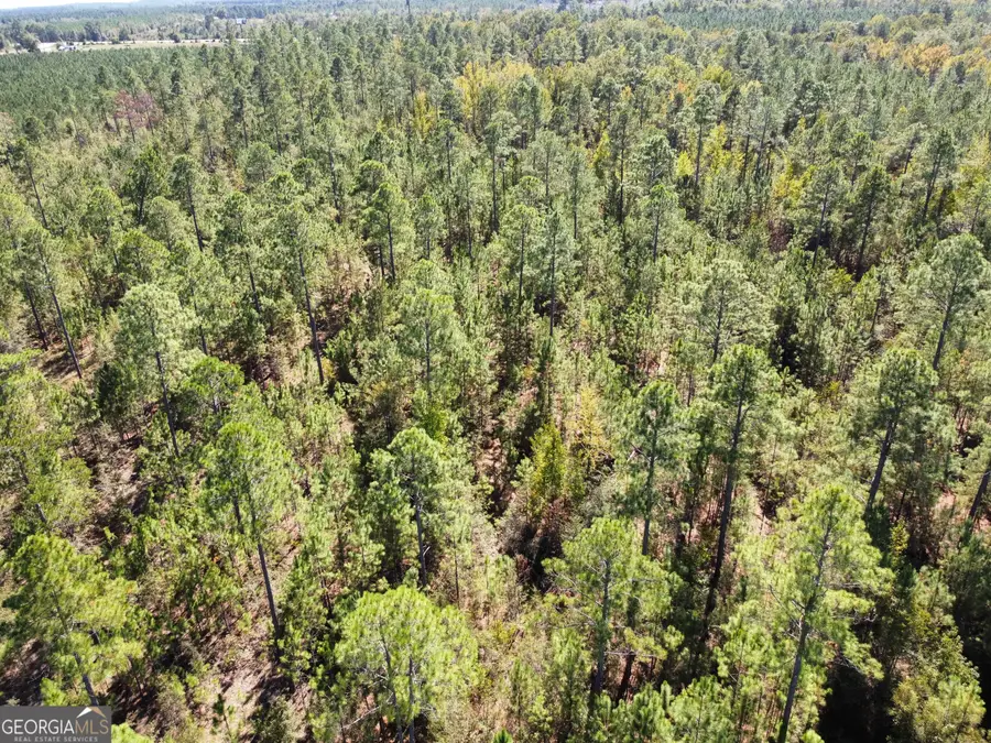 843 Daniel Mimbs Road, East Dublin, GA 31027 - #2