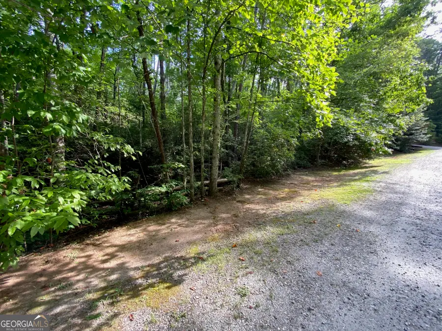 0 Sara Lane #LOT 6, Sautee Nacoochee, GA 30571 - #2