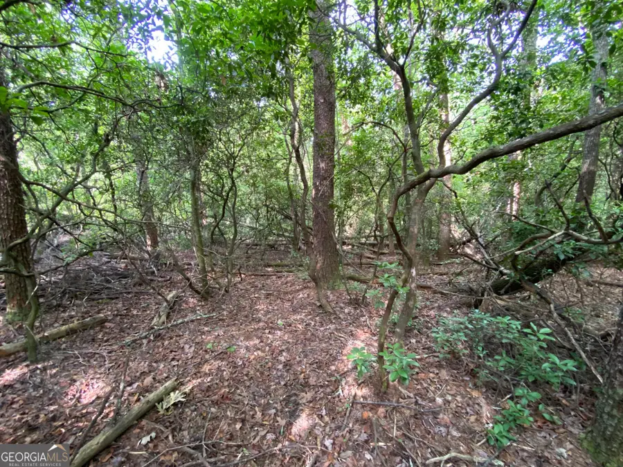 0 Sara Lane #LOT 6, Sautee Nacoochee, GA 30571 - #3