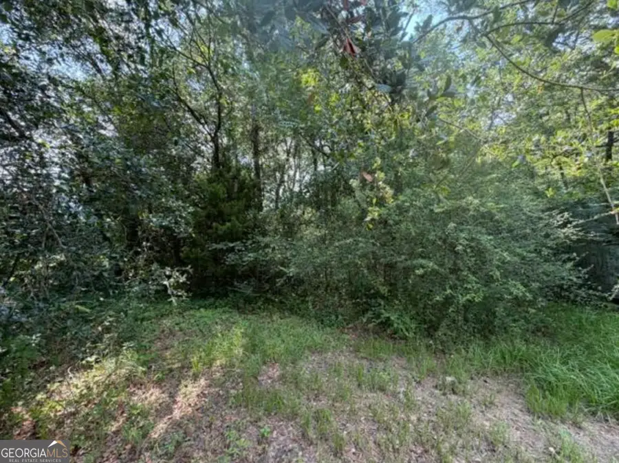 0 Milton Avenue, Savannah, GA 31405 - #2