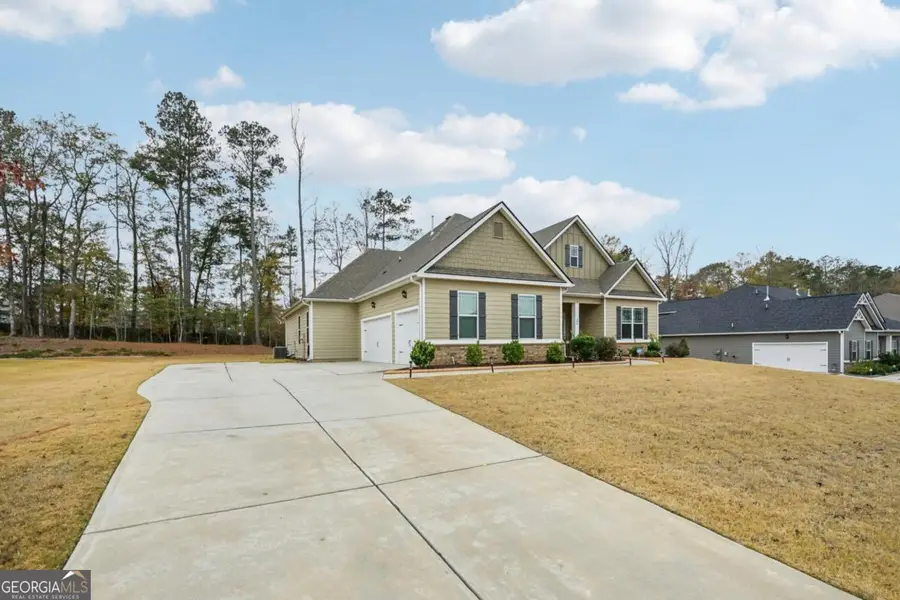 290 Calebee Avenue, Senoia, GA 30276 - #3