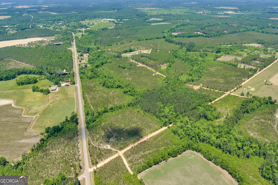 1215 State Rte 126, Cadwell, GA 31009 - #3