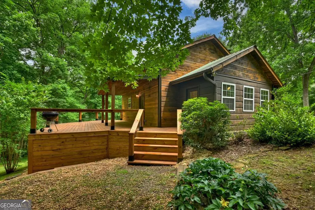 665 Shady Lane, Mineral Bluff, GA 30559 - #1