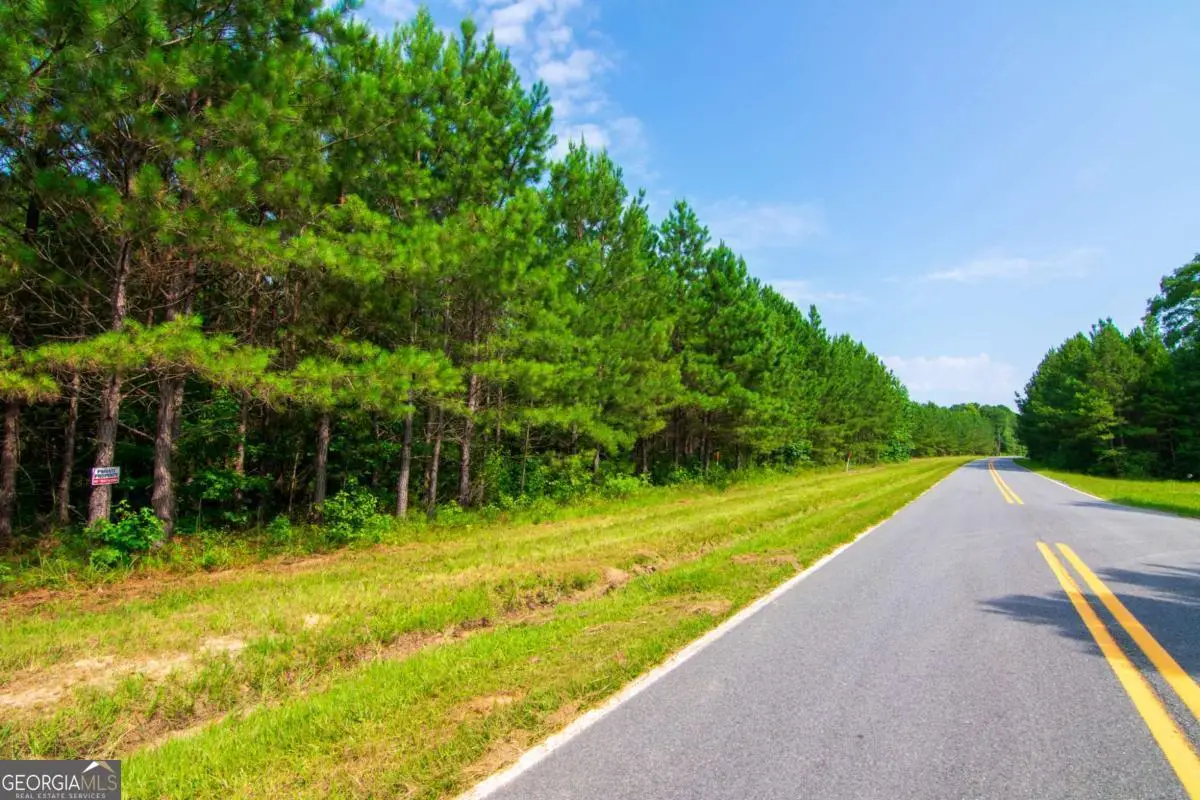 0 County Road 0071, Waverly Hall, GA 31831 - #1