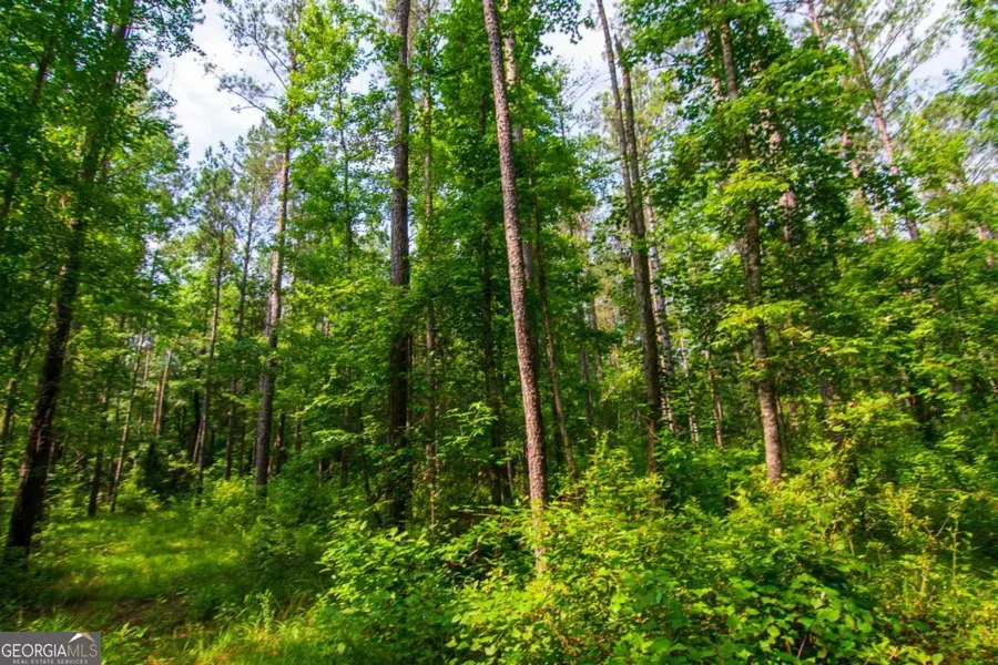 0 County Road 0071, Waverly Hall, GA 31831 - #3