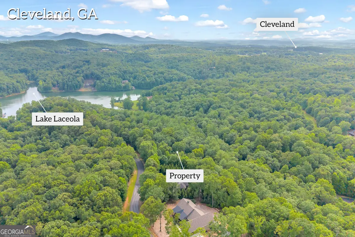 25 Forked Leaf Rd, Cleveland, GA 30528 - #1