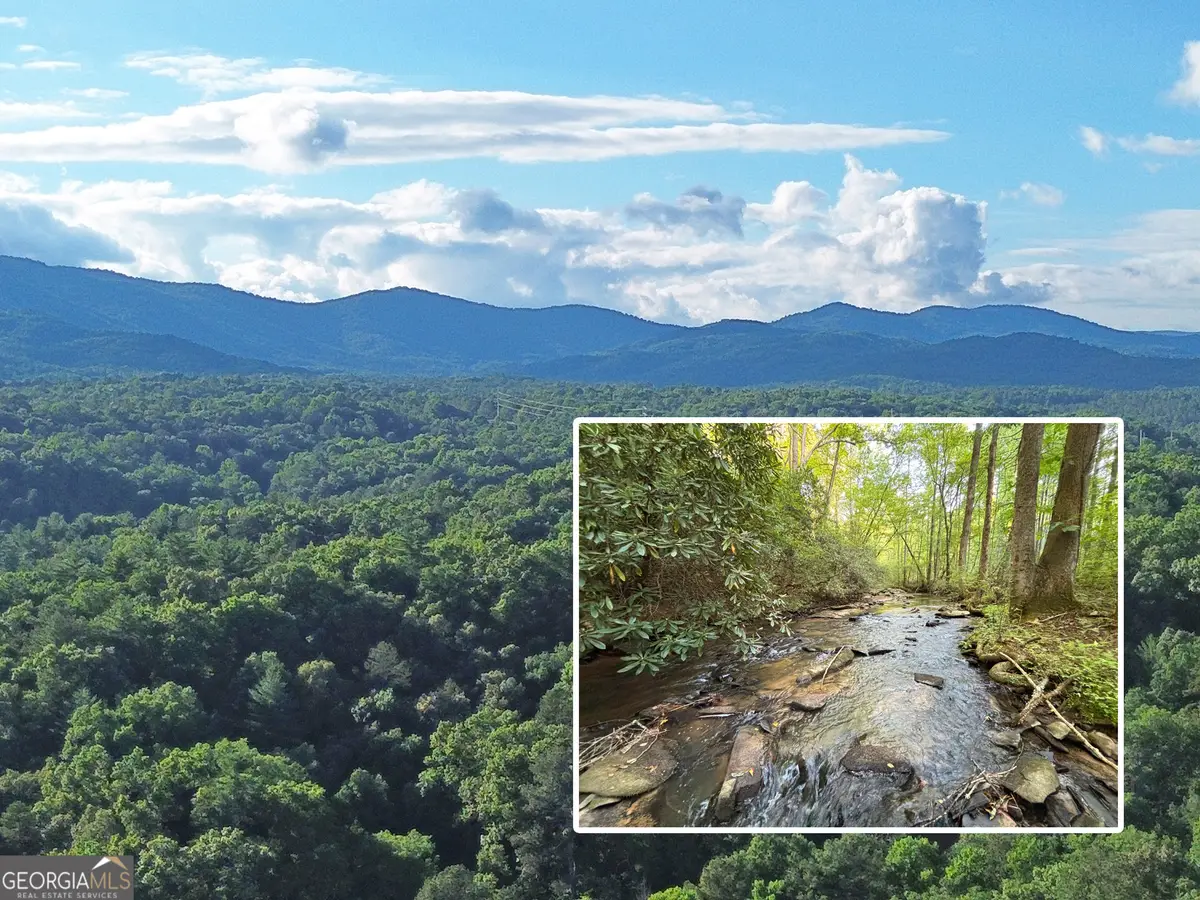 LOT 18 Mt. Springer Road, Ellijay, GA 30540 - #1