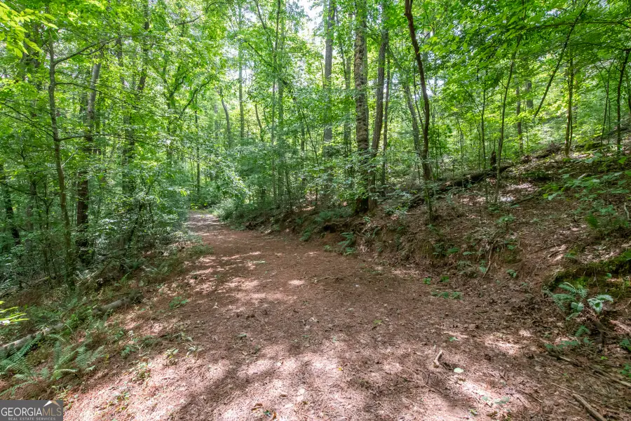 2411 Rackley Road, Ellijay, GA 30536 - #3