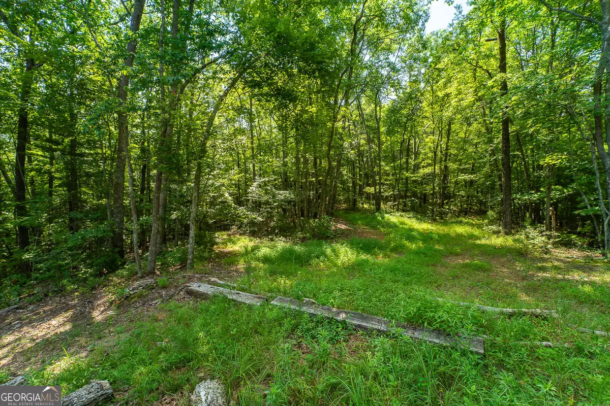 TR 1&2 Blue Arrow Lane, Mineral Bluff, GA 30559 - #1