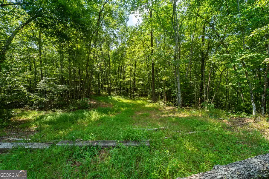 TR 1&2 Blue Arrow Lane, Mineral Bluff, GA 30559 - #2