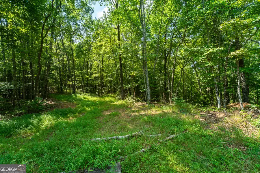TR 1&2 Blue Arrow Lane, Mineral Bluff, GA 30559 - #3