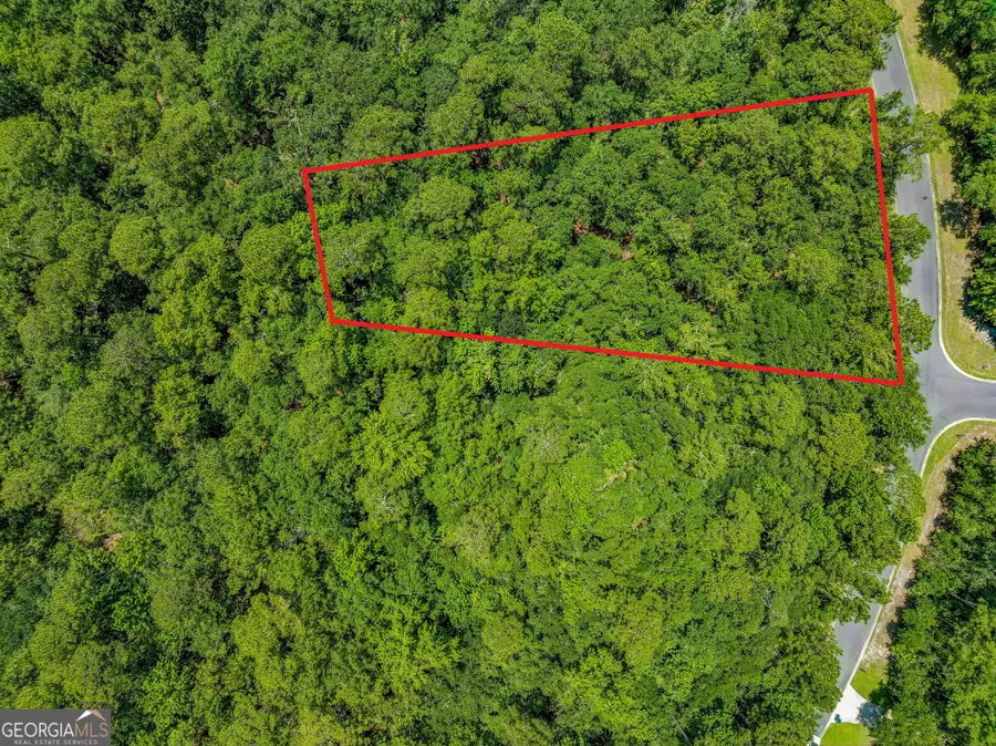 V/L 23 Lighthouse Circle, Woodbine, GA 31569 - #2