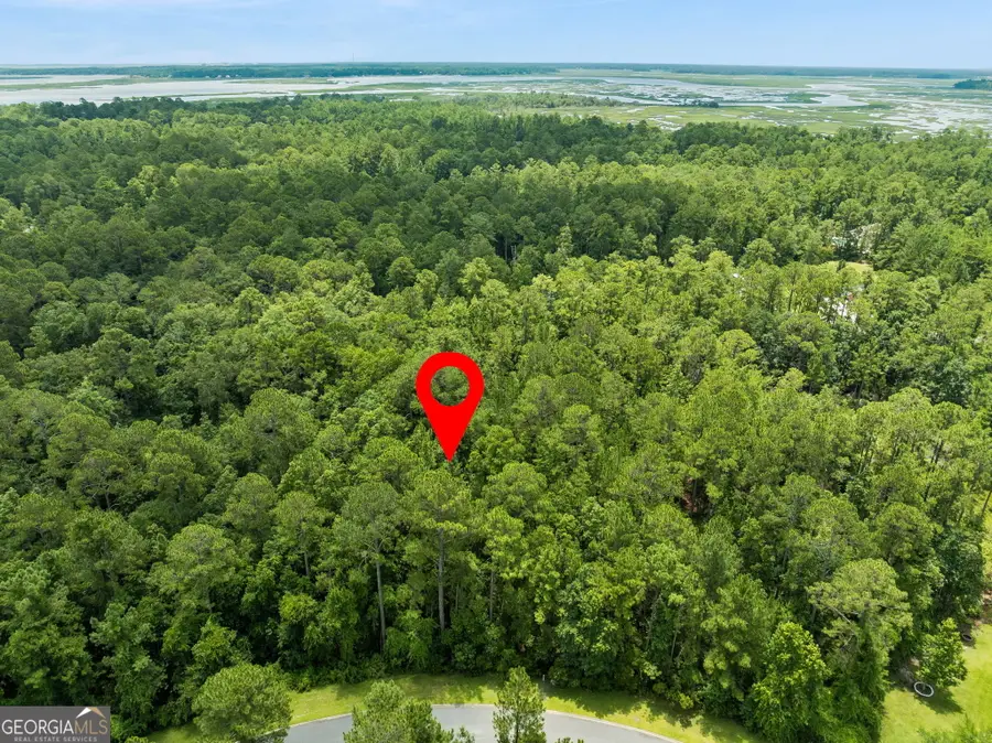 V/L 185 Sunrise Drive, Woodbine, GA 31569 - #2
