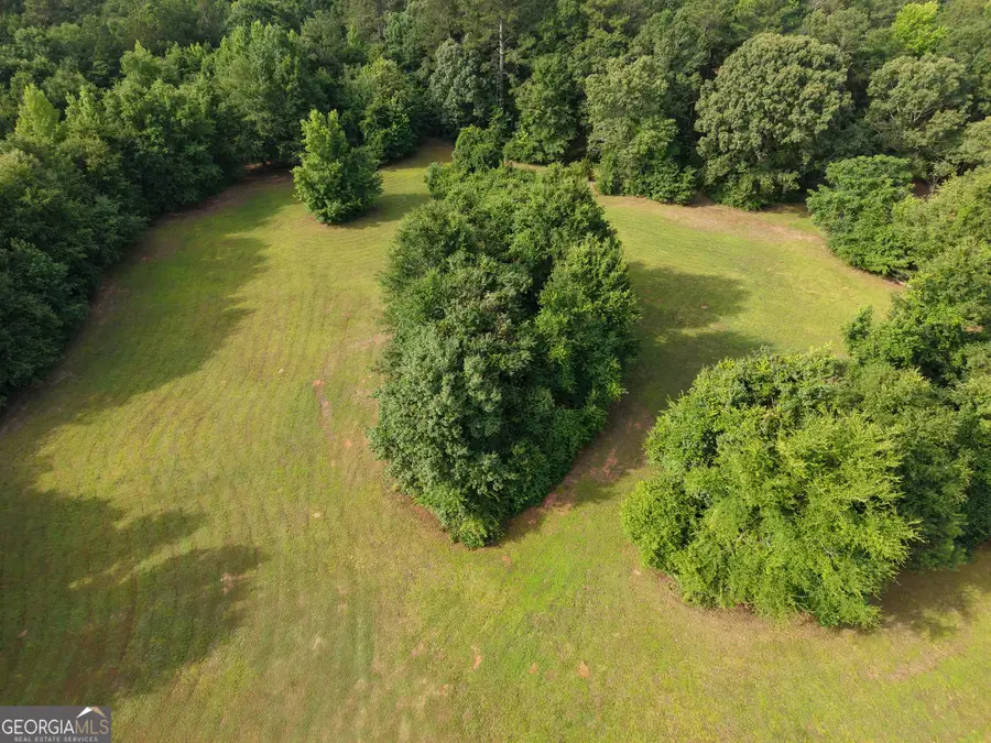 3115 East Fairview Rd, McDonough, GA 30252 - #3