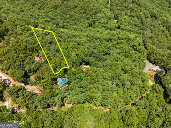 52-A Merit Court, Ellijay, GA 30540