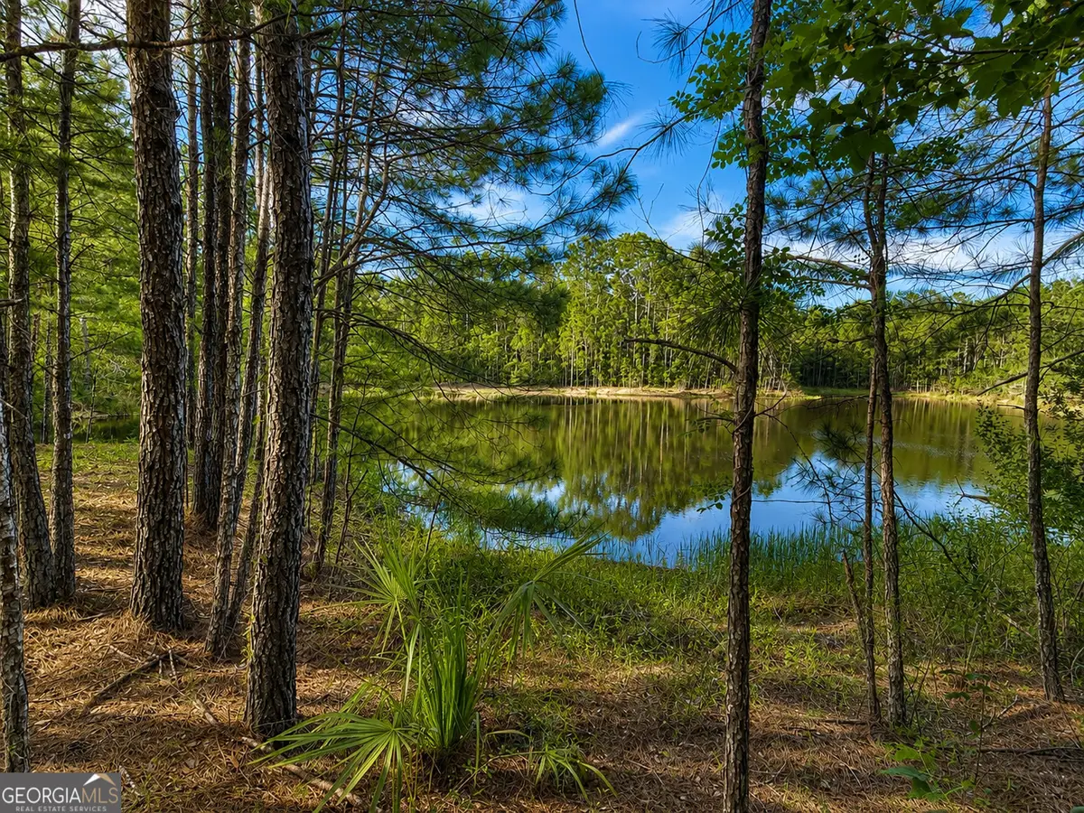 100 La Vento Lane, Waverly, GA 31565 - #1