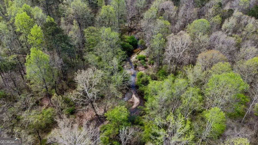 TRACT 2 Cross Plains Hulett, Carrollton, GA 30116 - #2