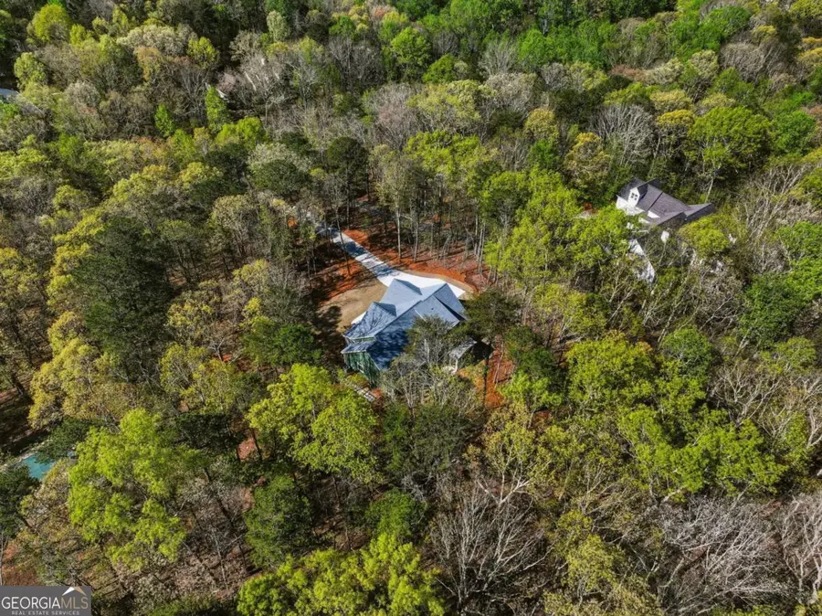 320 Fern Park Drive, Dawsonville, GA 30534 - #3