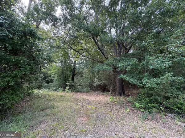 1081 Cleveland Avenue, Buckhead, GA 30625