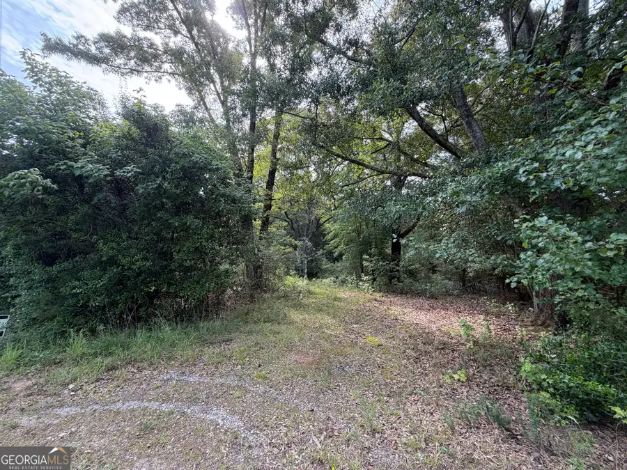 1081 Cleveland Avenue, Buckhead, GA 30625 - #2