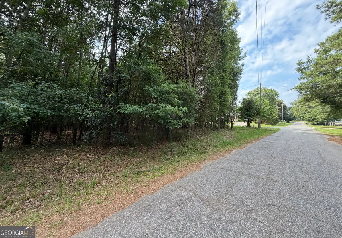 0 Cleveland Avenue, Buckhead, GA 30625 - #1