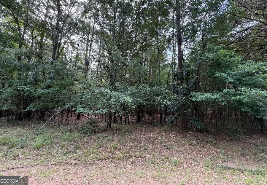0 Cleveland Avenue, Buckhead, GA 30625 - #2