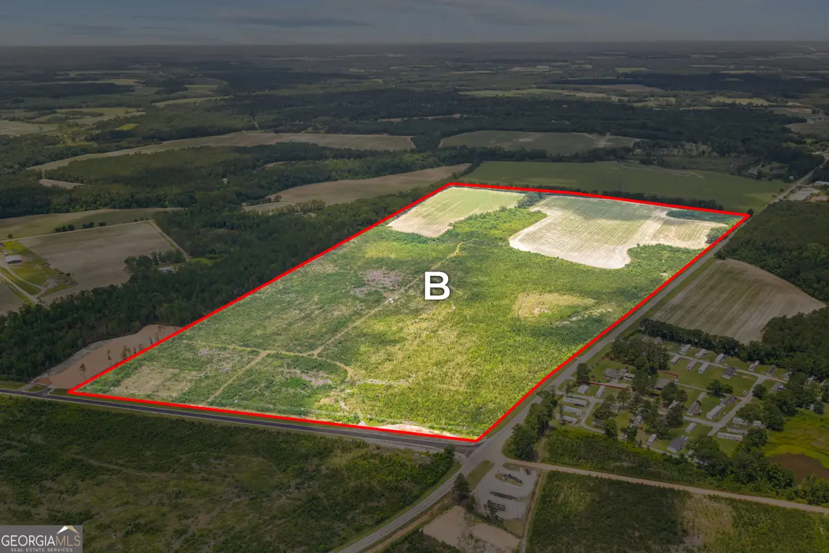 0 Highway 46, Register, GA 30452 - #1