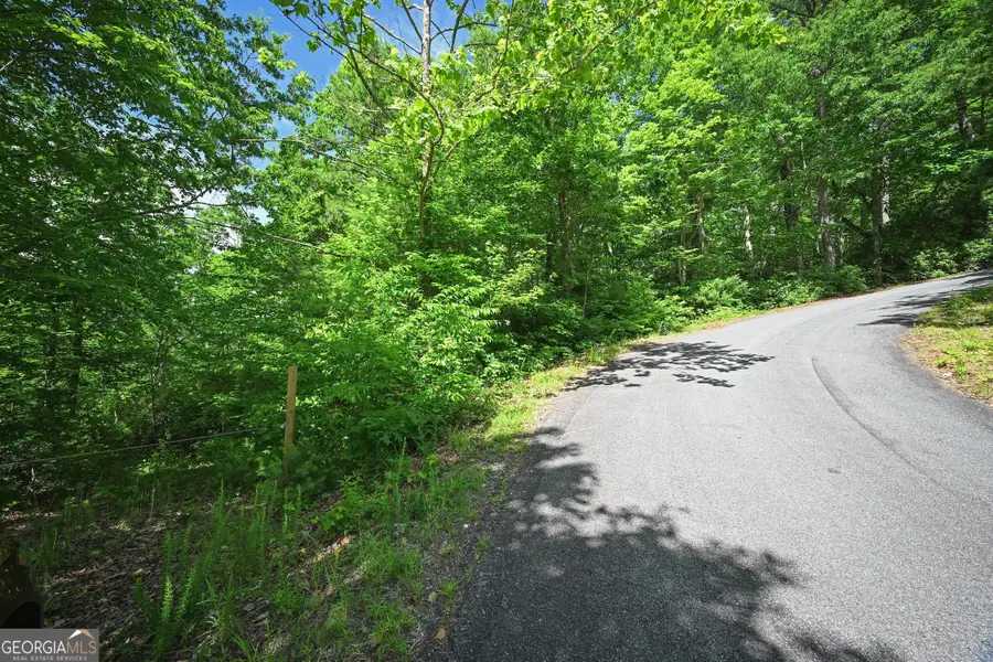 LOT 3 The Ridges, Hiawassee, GA 30546 - #3