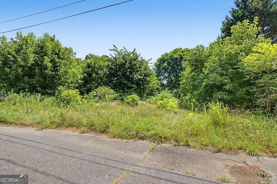 57 Martin Luther King Jr Circle, Kingston, GA 30145 - #2