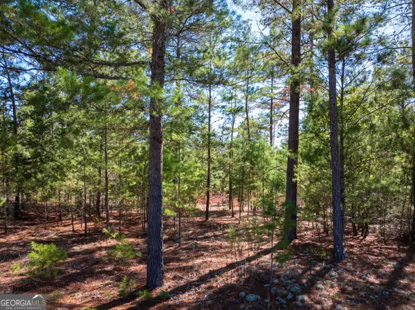28.95 ACRES Horne Road, Roberta, GA 31078
