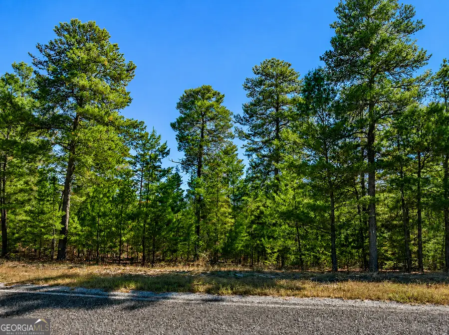28.95 ACRES Horne Road, Roberta, GA 31078 - #2