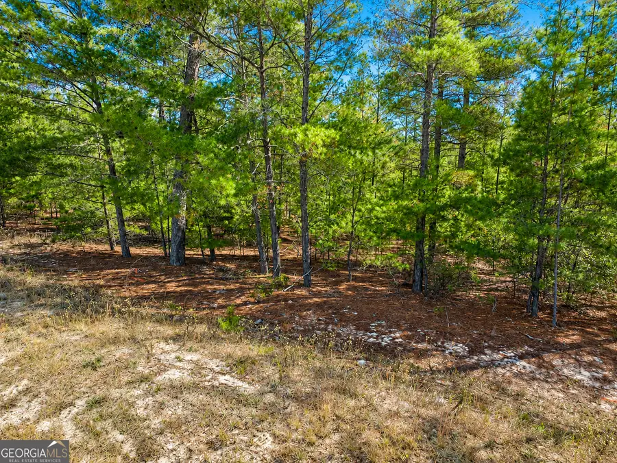28.95 ACRES Horne Road, Roberta, GA 31078 - #3