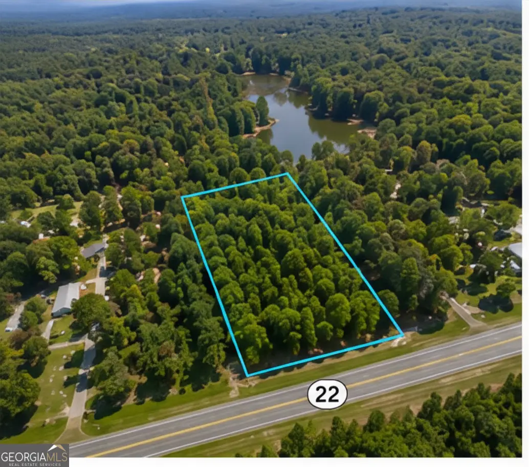 2.5 ACRES Highway 22, Haddock, GA 31033 - #1