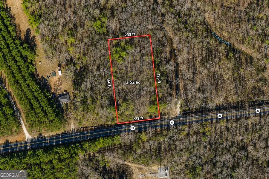 2.5 ACRES Highway 22, Haddock, GA 31033 - #2