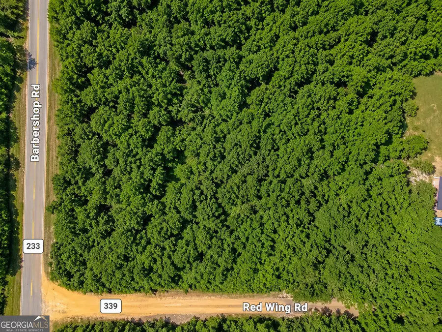 0.90 ACRE Barber Shop Road, Unadilla, GA 31091 - #3