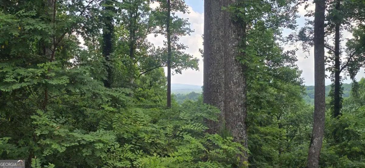 001 Windning Ridge, Blairsville, GA 30514 - #1