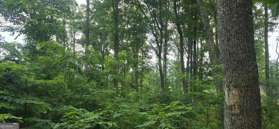 001 Windning Ridge, Blairsville, GA 30514 - #2
