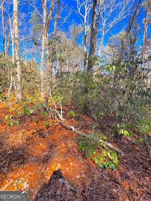 00 Horse Cove Court, Jasper, GA 30143 - #1