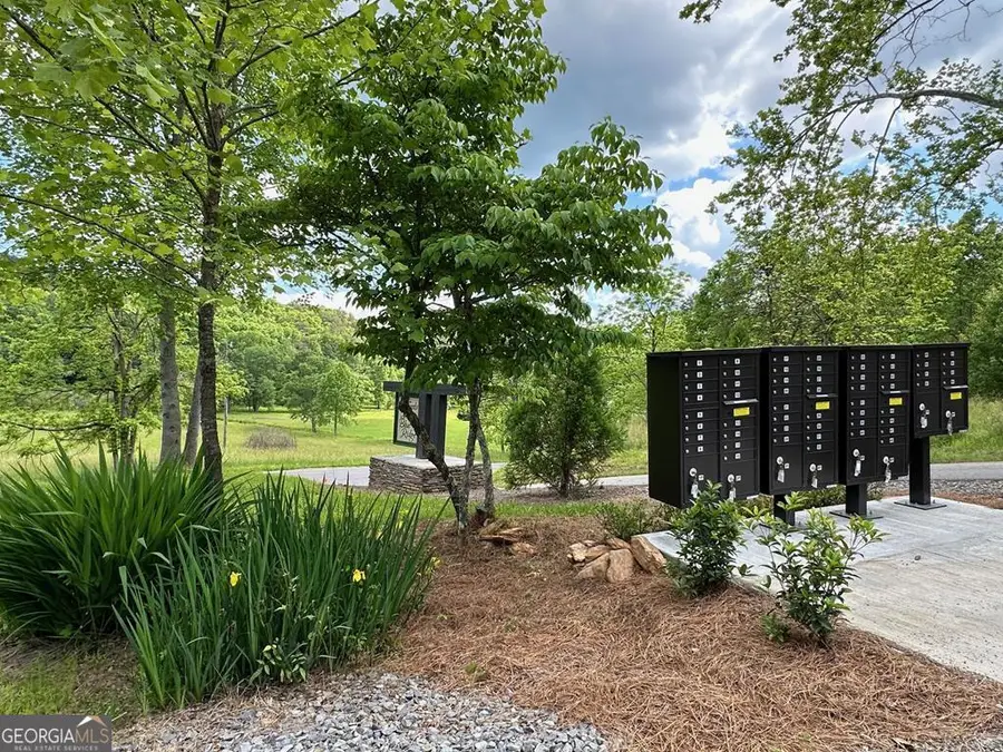LT 12 Mountain Laurel Ridge, Mineral Bluff, GA 30559 - #2