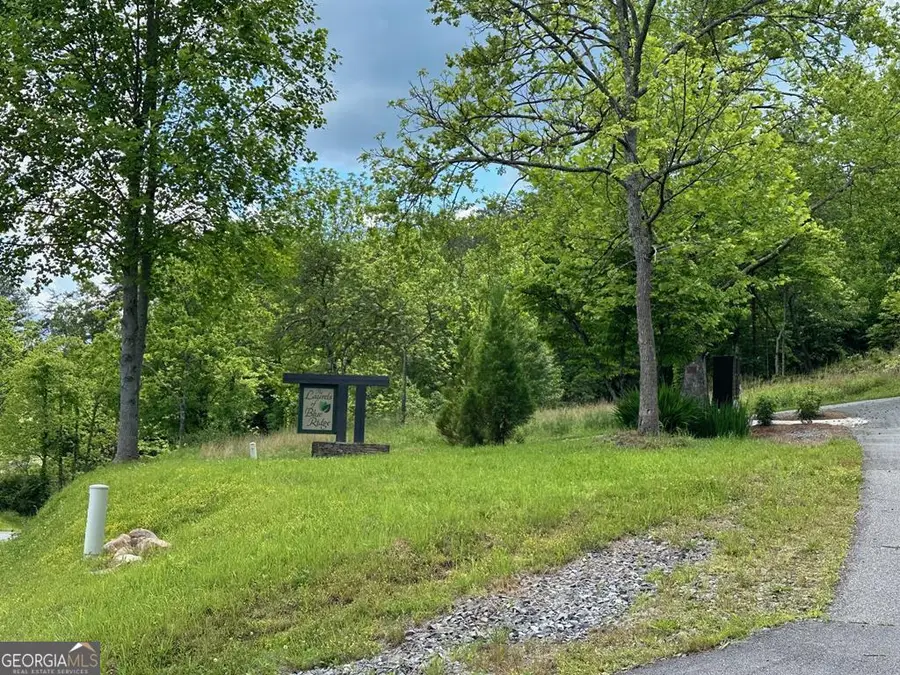 LT 12 Mountain Laurel Ridge, Mineral Bluff, GA 30559 - #3