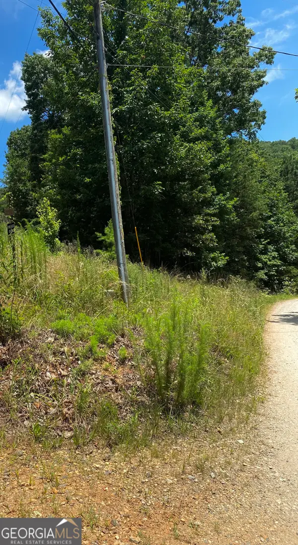 TRACT C LOT 30 Wauka Ridge Road, Clermont, GA 30527