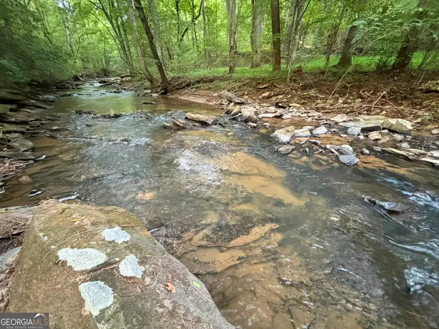396 Mt Springer Road, Ellijay, GA 30540 - #2