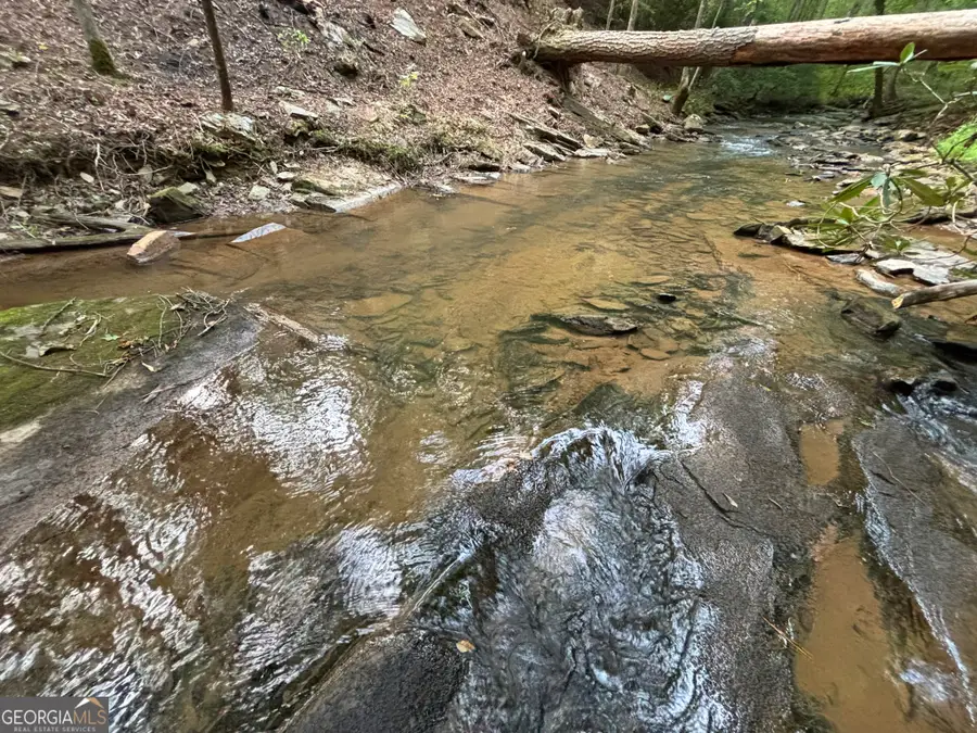 396 Mt Springer Road, Ellijay, GA 30540 - #3