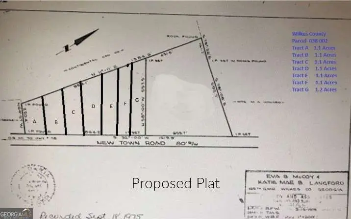 LOT C Newtown Road, Washington, GA 30673 - #1